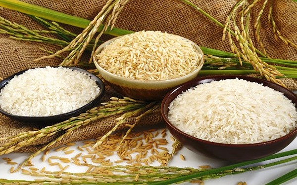 Xuất khẩu gạo năm 2024: Tiếp tục mở rộng và đa dạng hóa thị trường để tăng tính cạnh tranh